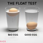 The-Float-Test