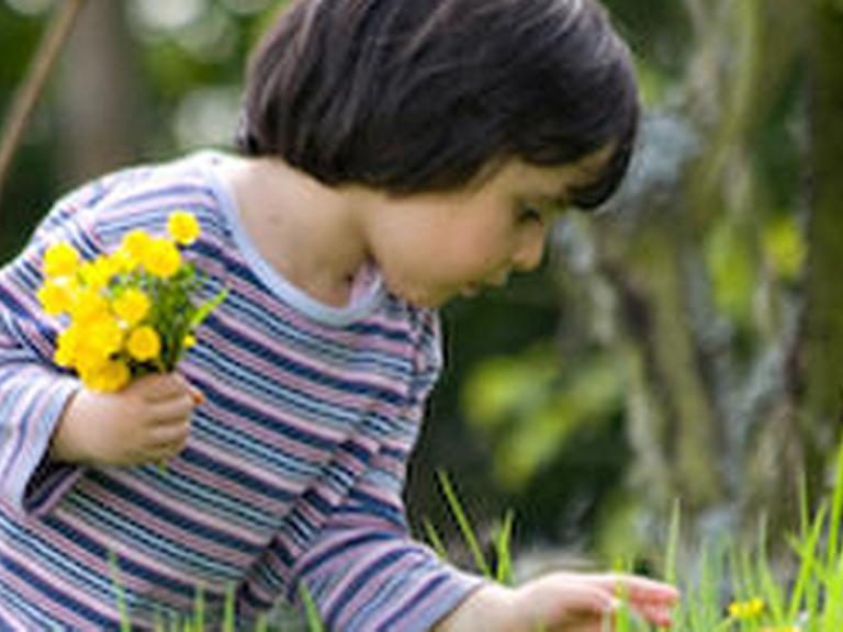 শখের বাগান