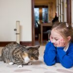 cats-and-children