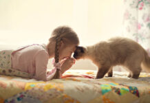 বিড়াল-কুকুরের আঁচড় লাগলেই কি জলাতঙ্কের টিকা নিতে হবে?