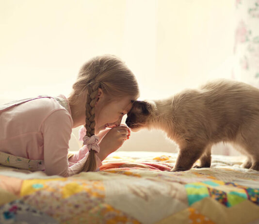 বিড়াল-কুকুরের আঁচড় লাগলেই কি জলাতঙ্কের টিকা নিতে হবে?